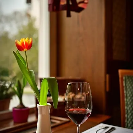 Continental Mariánské Lázně