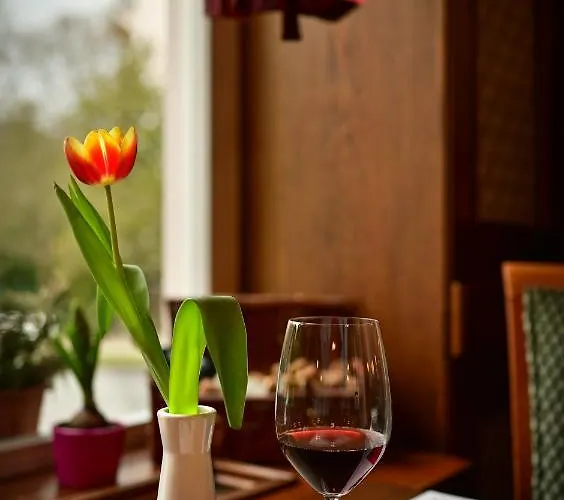 Continental Marianske Lazne